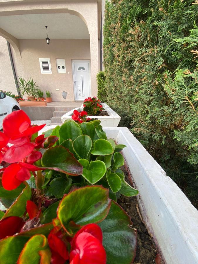 Momentera Apartments コトル エクステリア 写真
